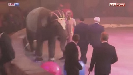 Кобзон виртуозно уклонился от разъяренного слона, а Мединский ретировался